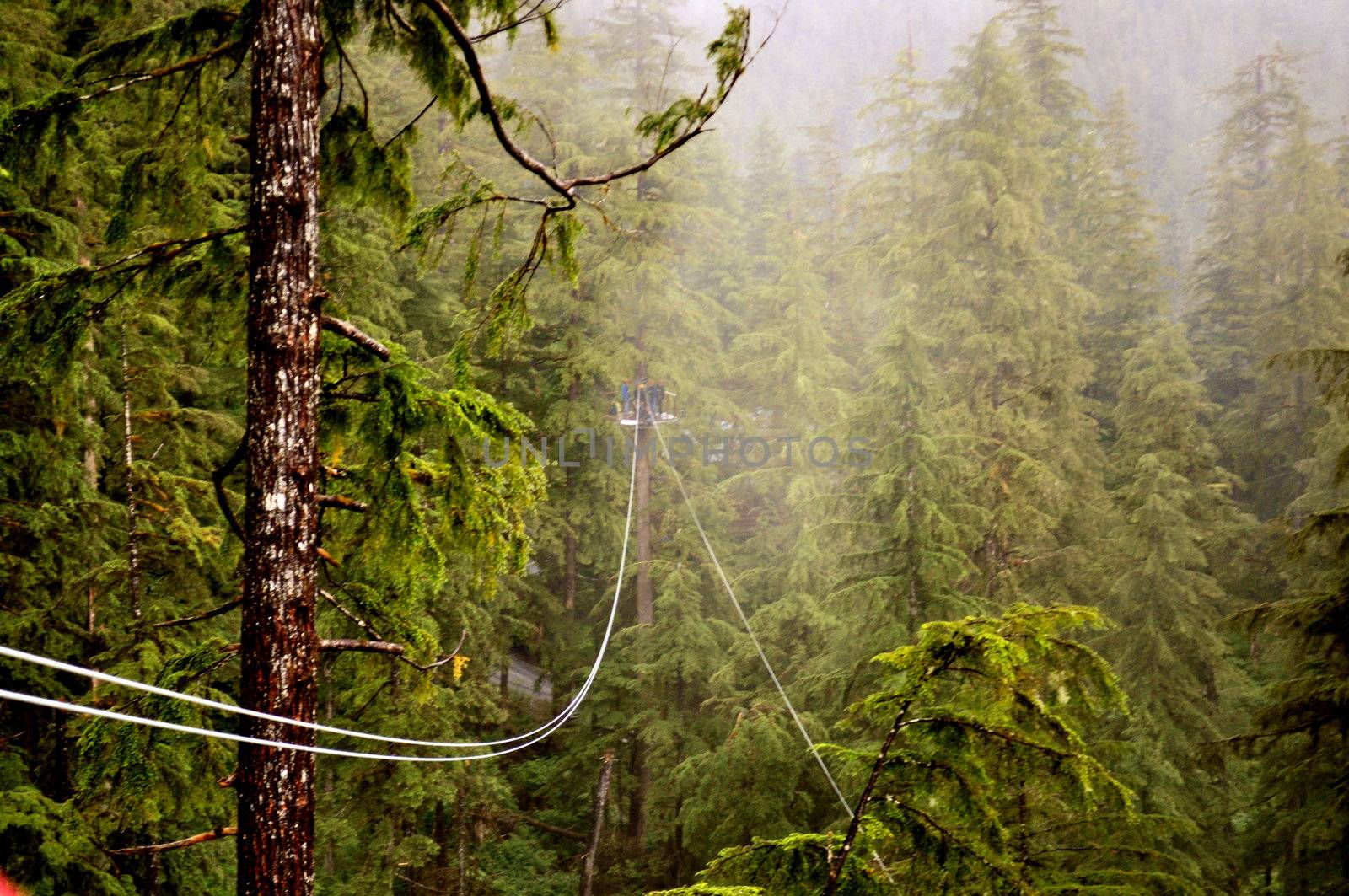 Ketchikan ziplining