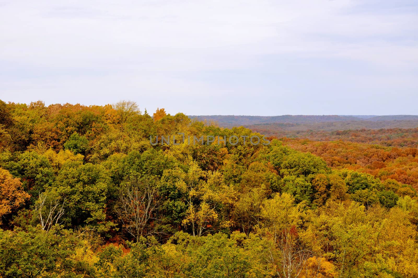 Brown County State Park