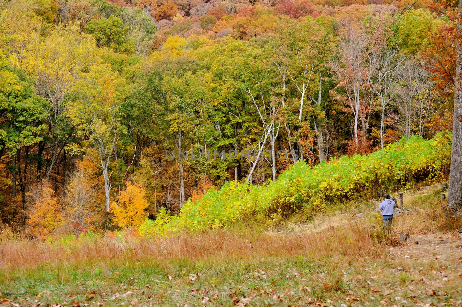 Brown County State Park