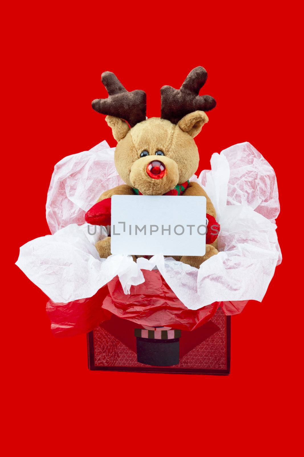 view of a rudolf the red nose reindeer in a gift box with a blan by kozzi