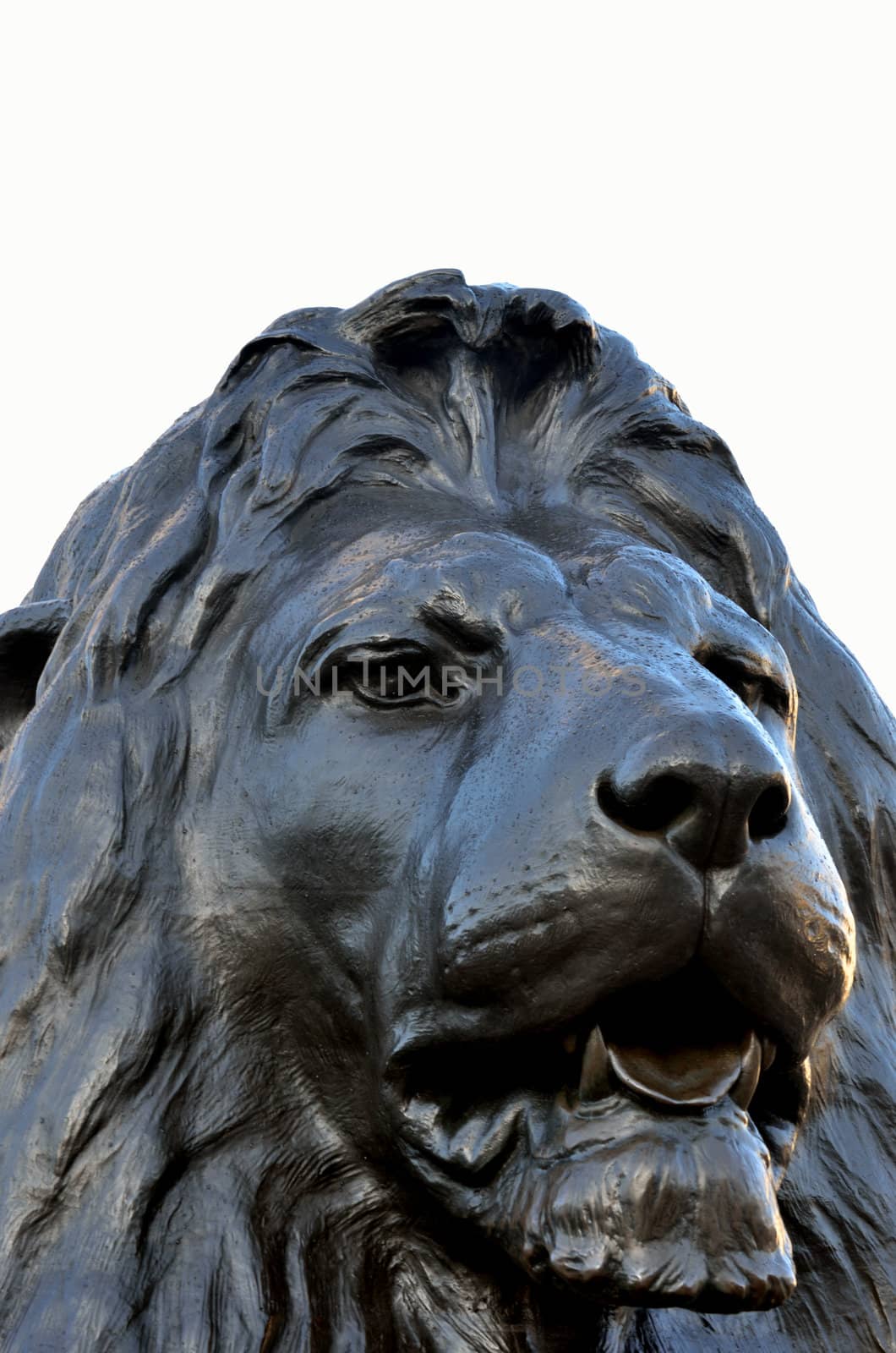 Head of lion at trafalgar square