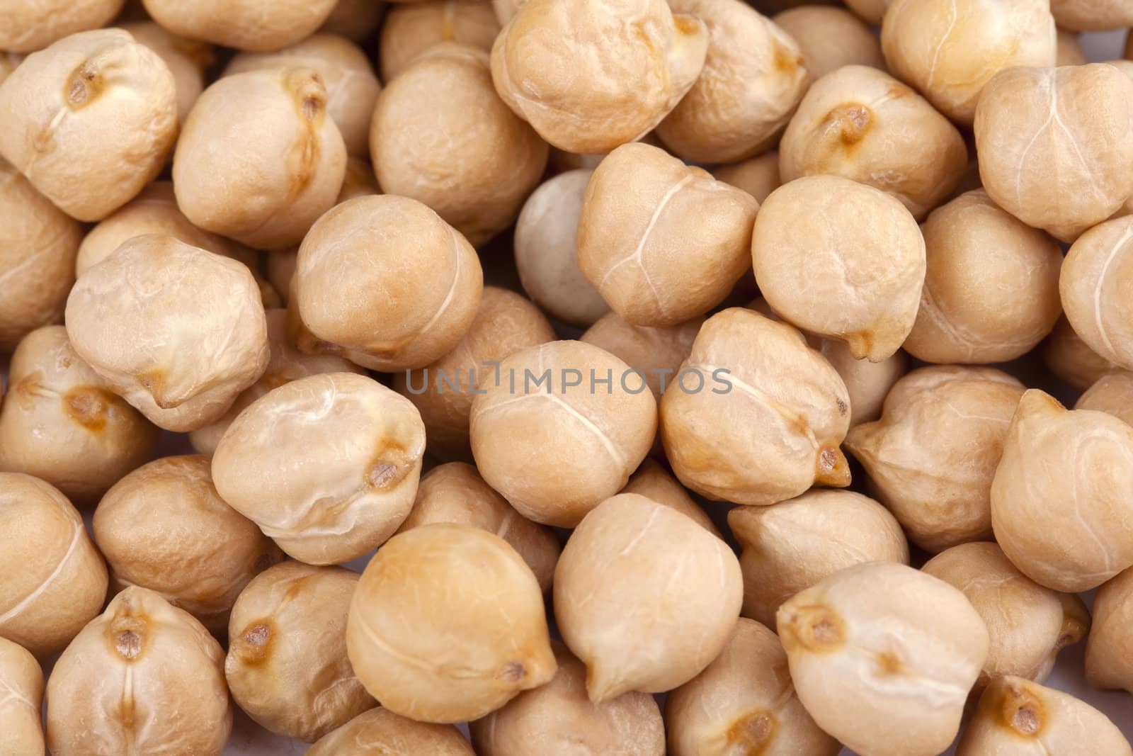 close up shot of chickpeas by kozzi