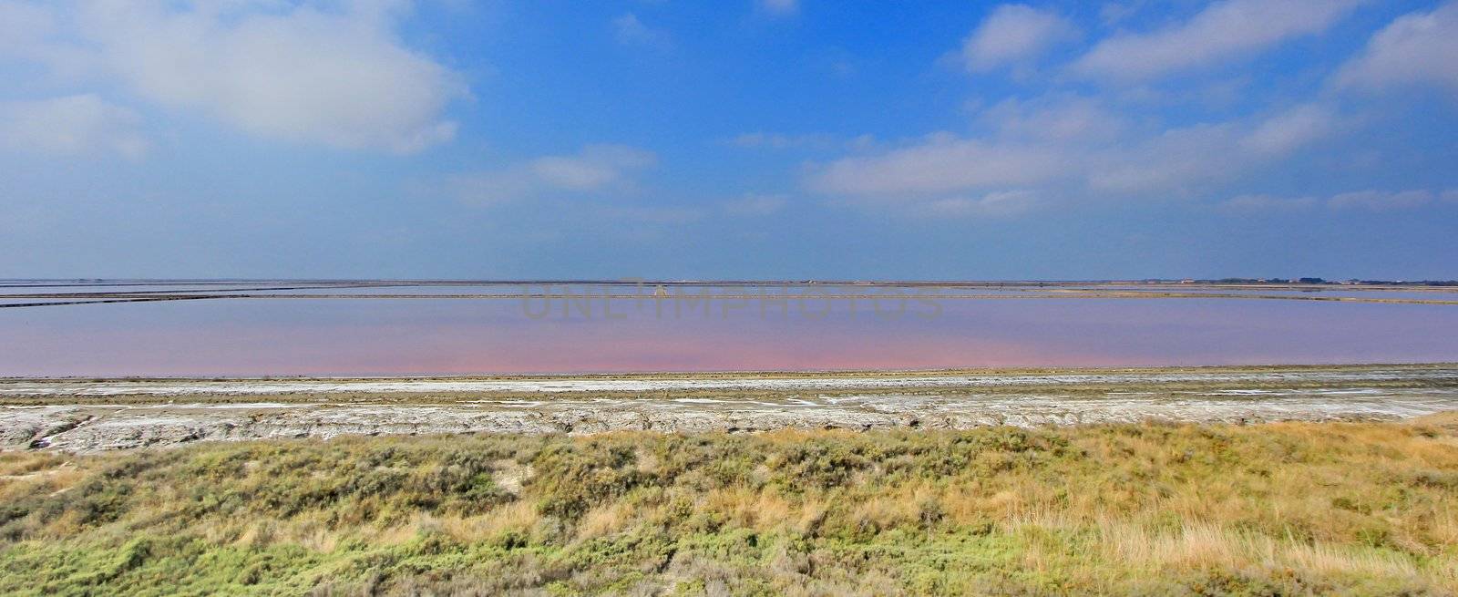 salt Camargue