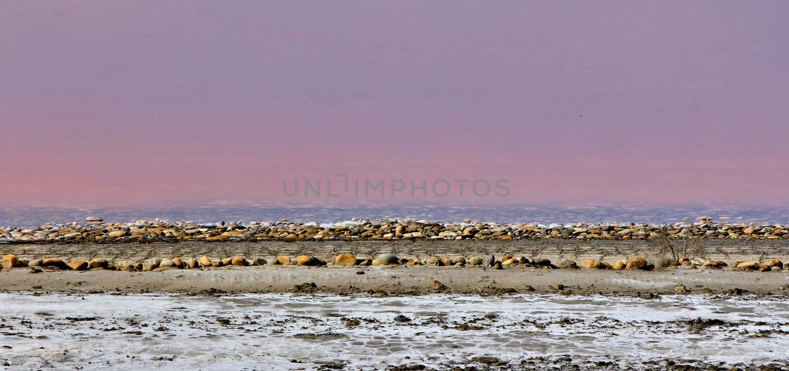 salt Camargue