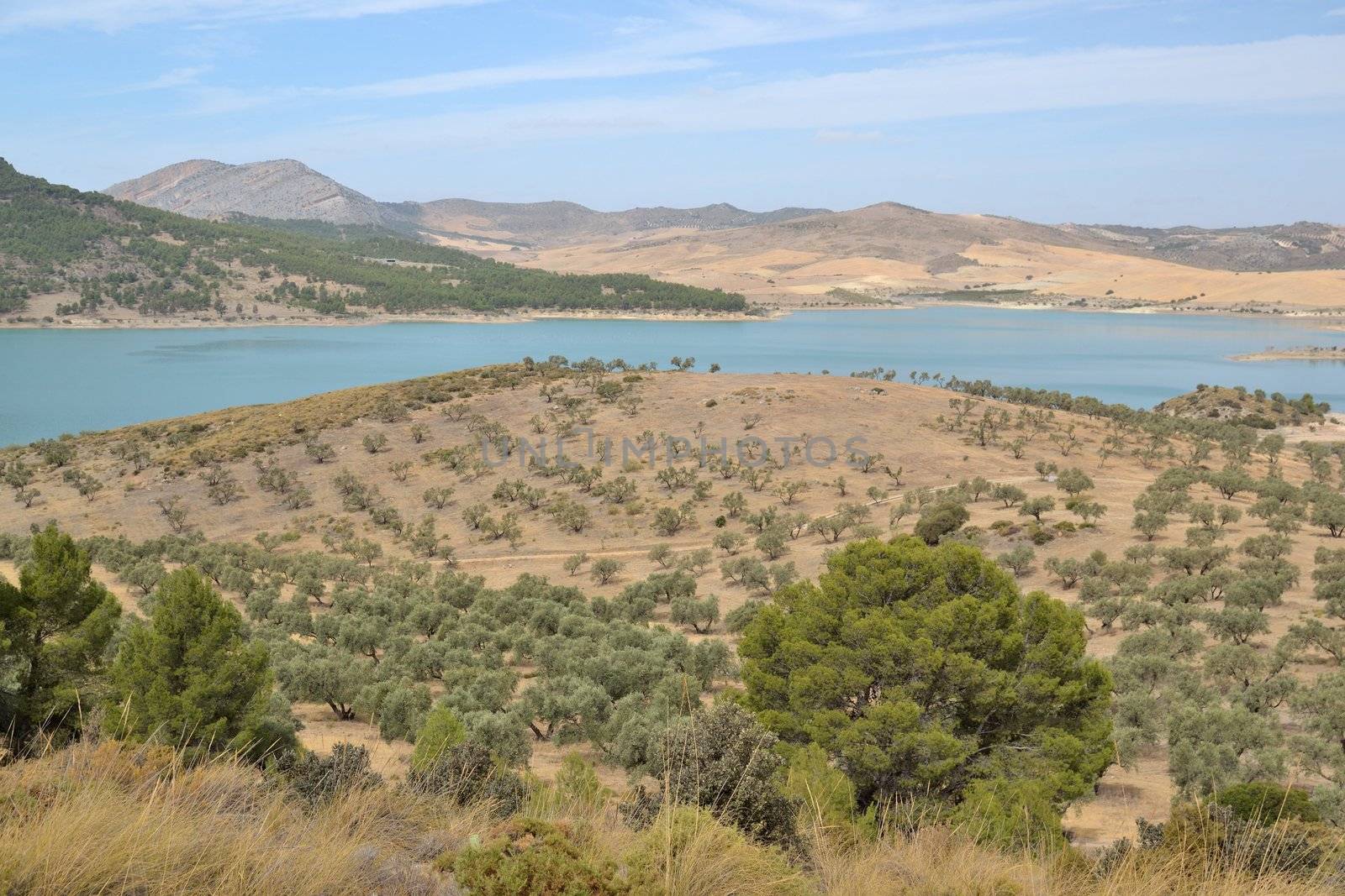 ardales natural park in the park located fifty kilometers from Malaga