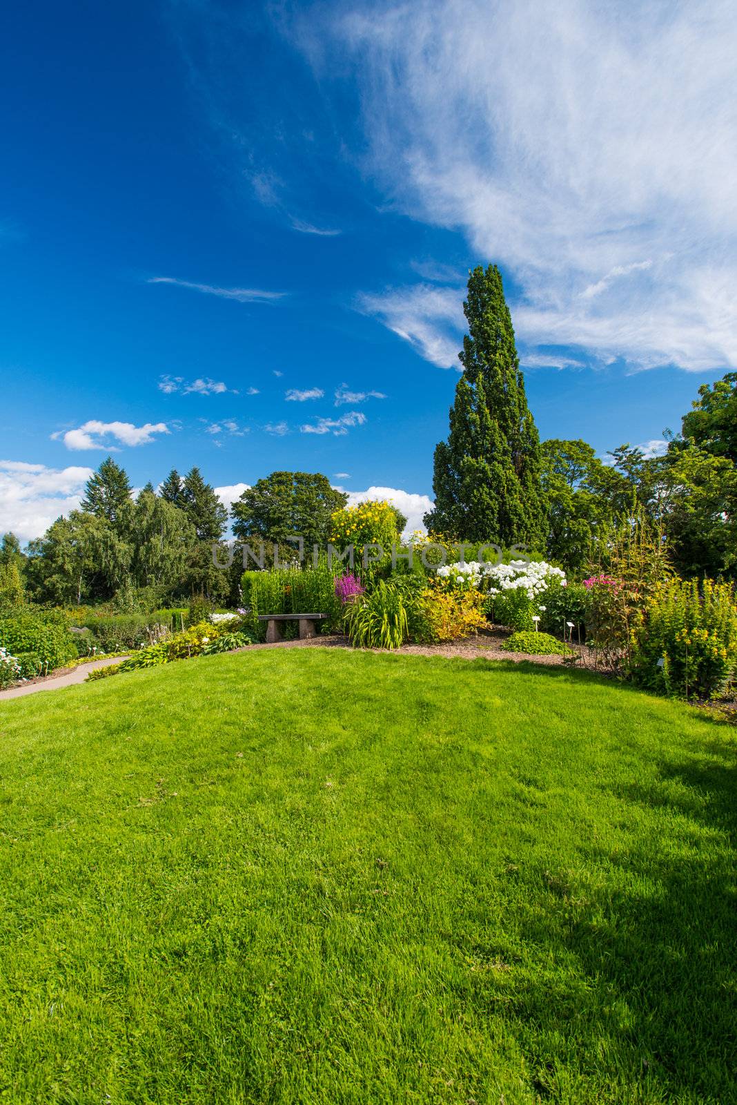 Flowerbed at garden background