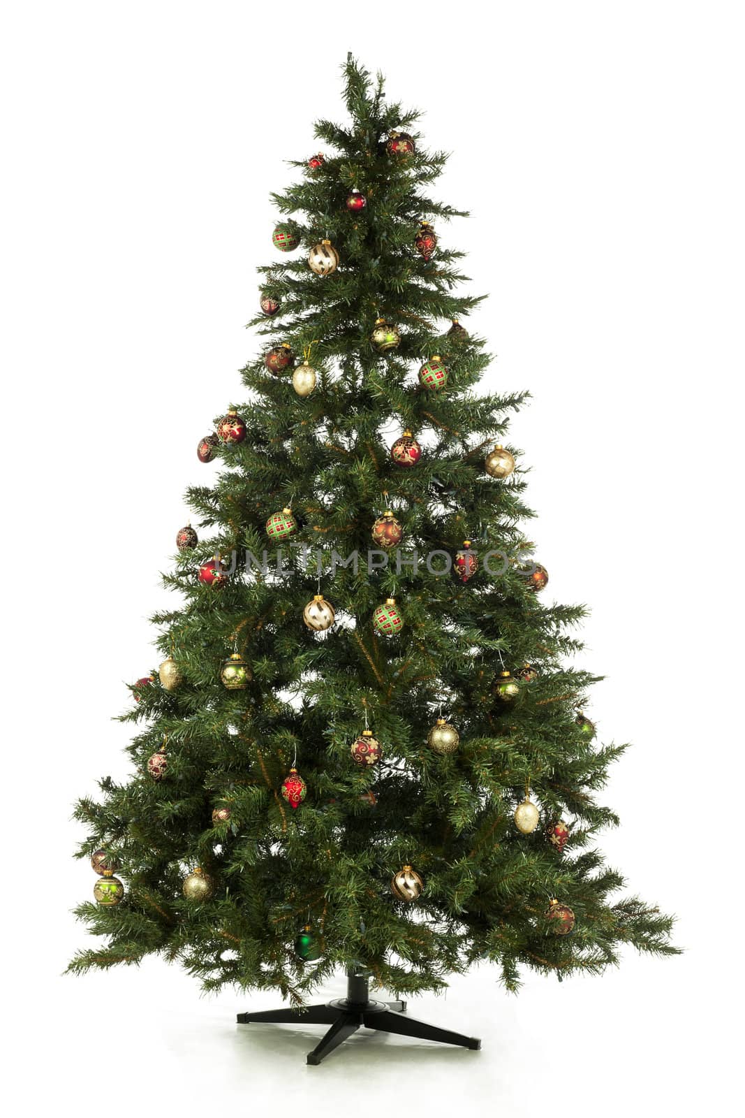 Illustration of Christmas tree in a full length image