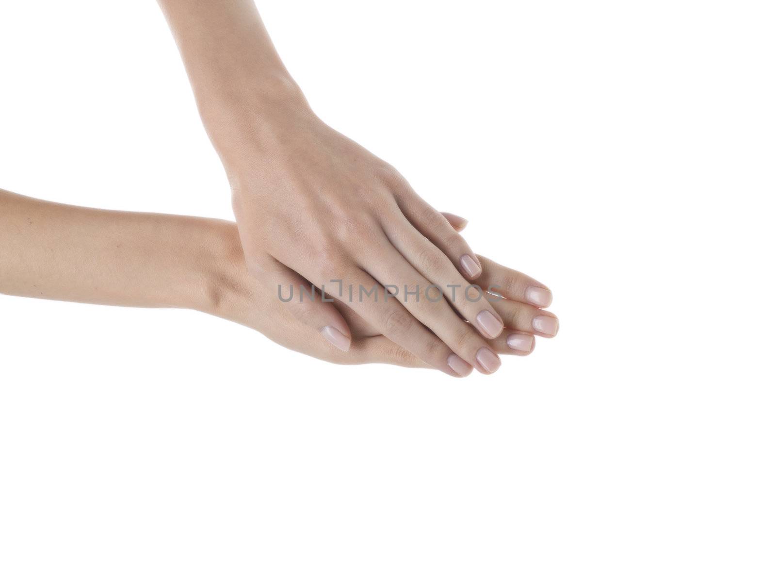 Woman's hands isolated in a white background