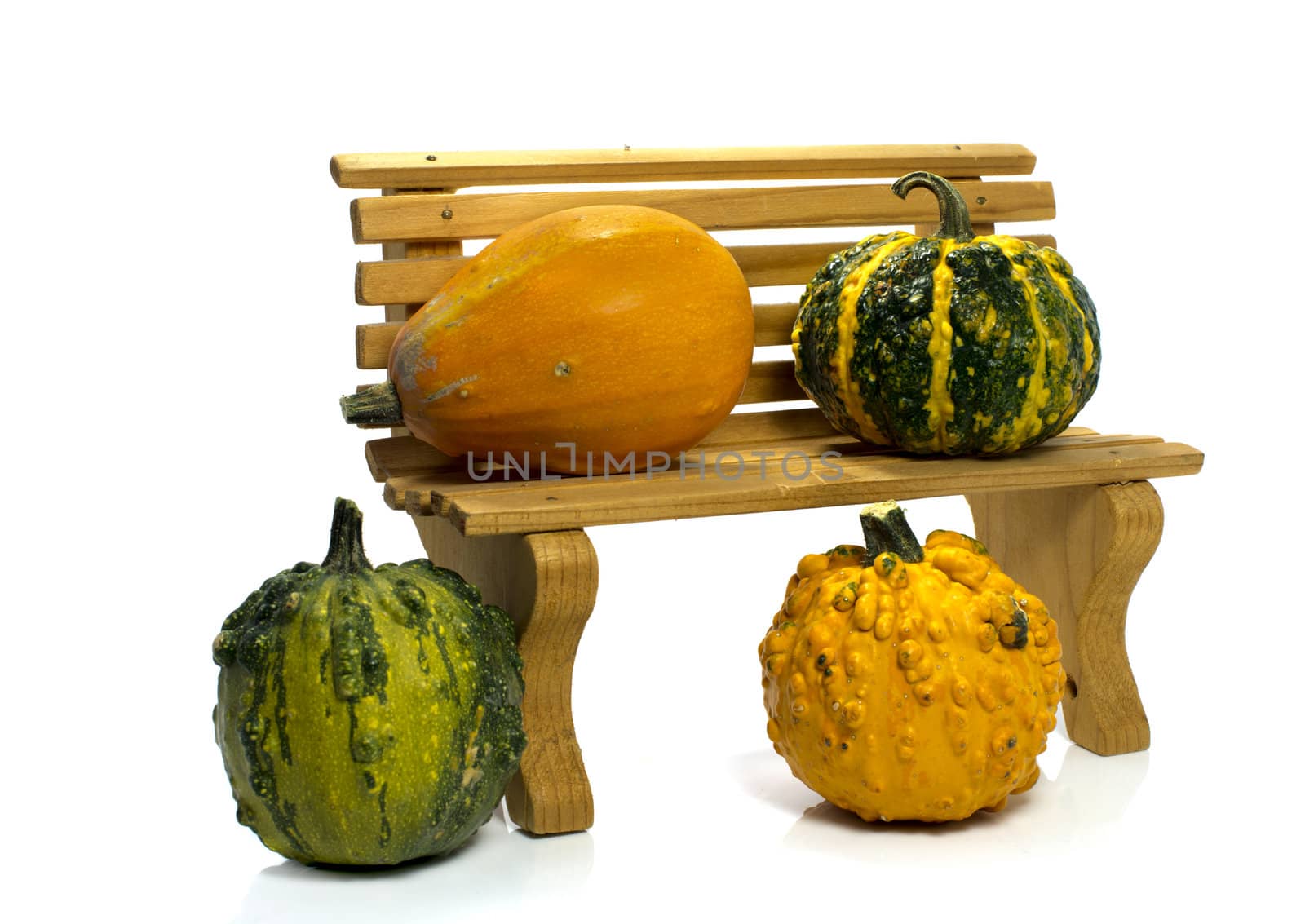 One big orange green pumpkin in closeup over white background