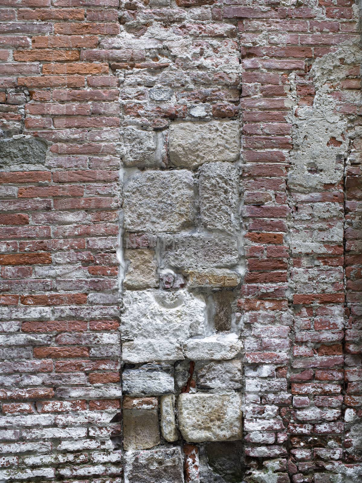vintage tuscan wall by kozzi