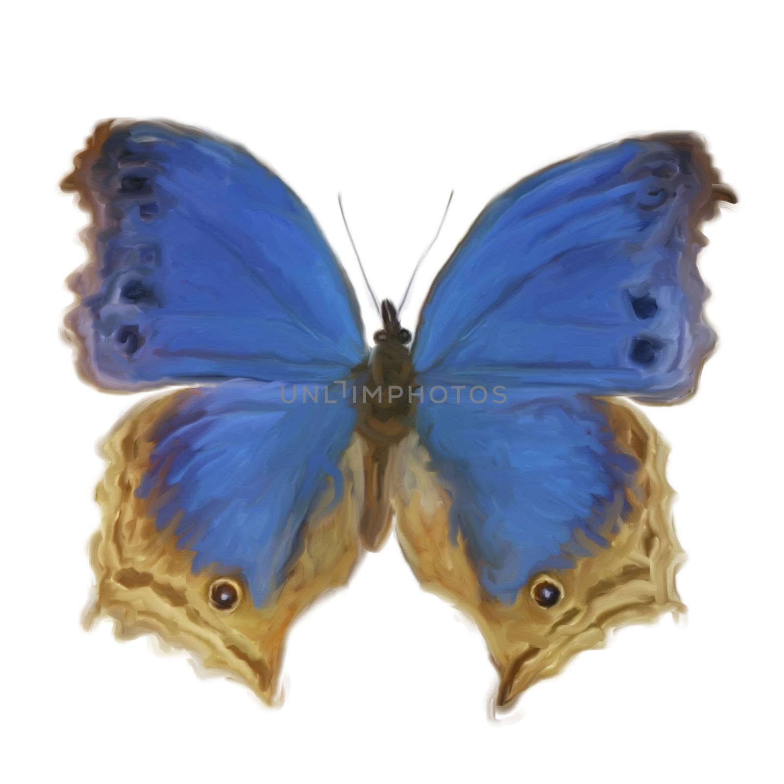 Digital Painting of a Butterfly by 3quarks