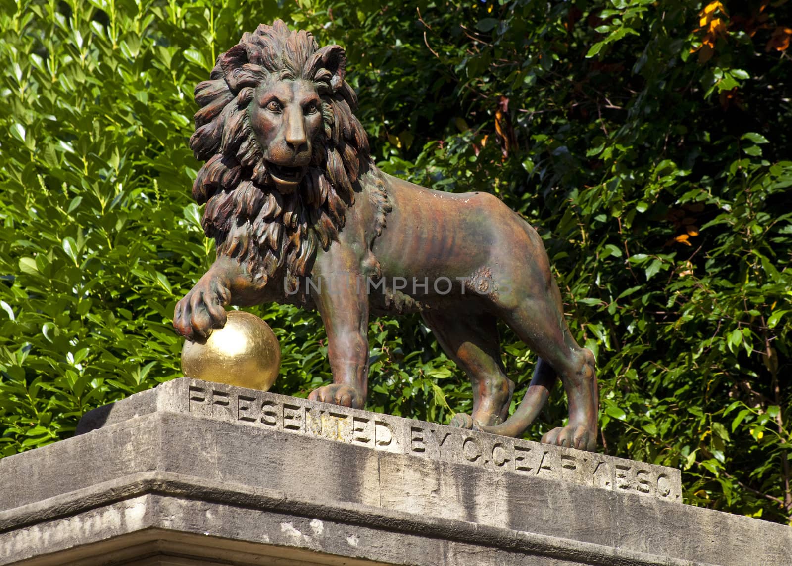 Lion Statue on Royal Avenue in Bath by chrisdorney