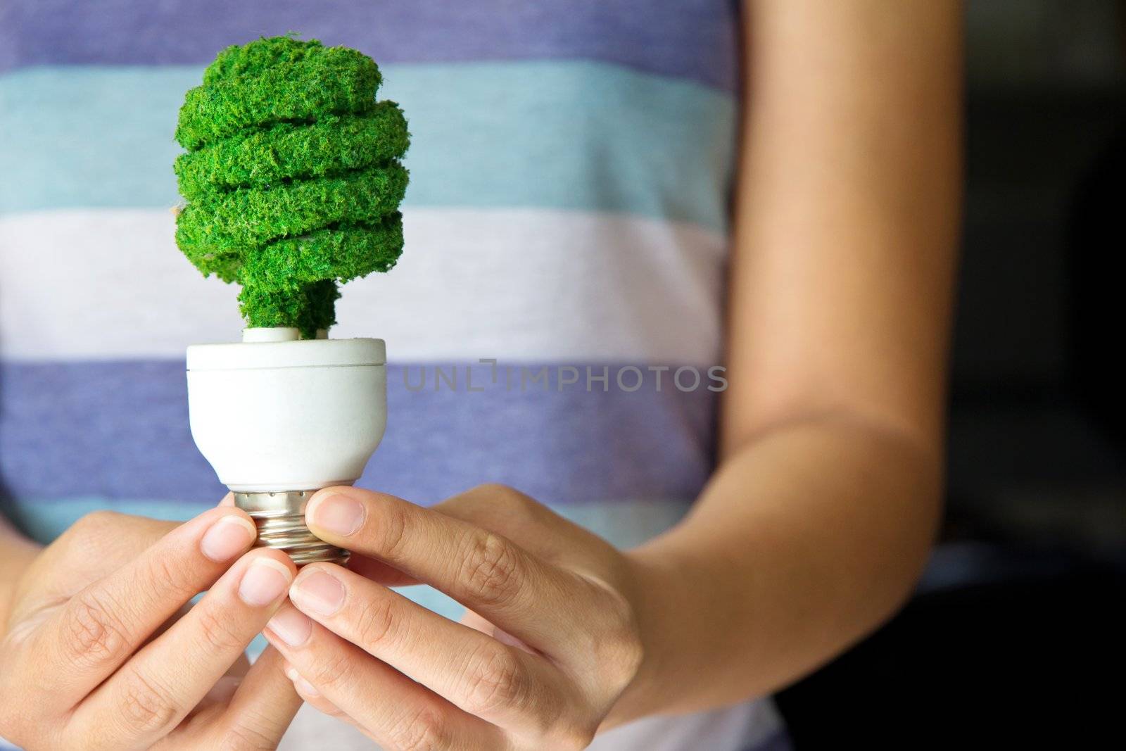 hand holding eco light bulb, save energy concept