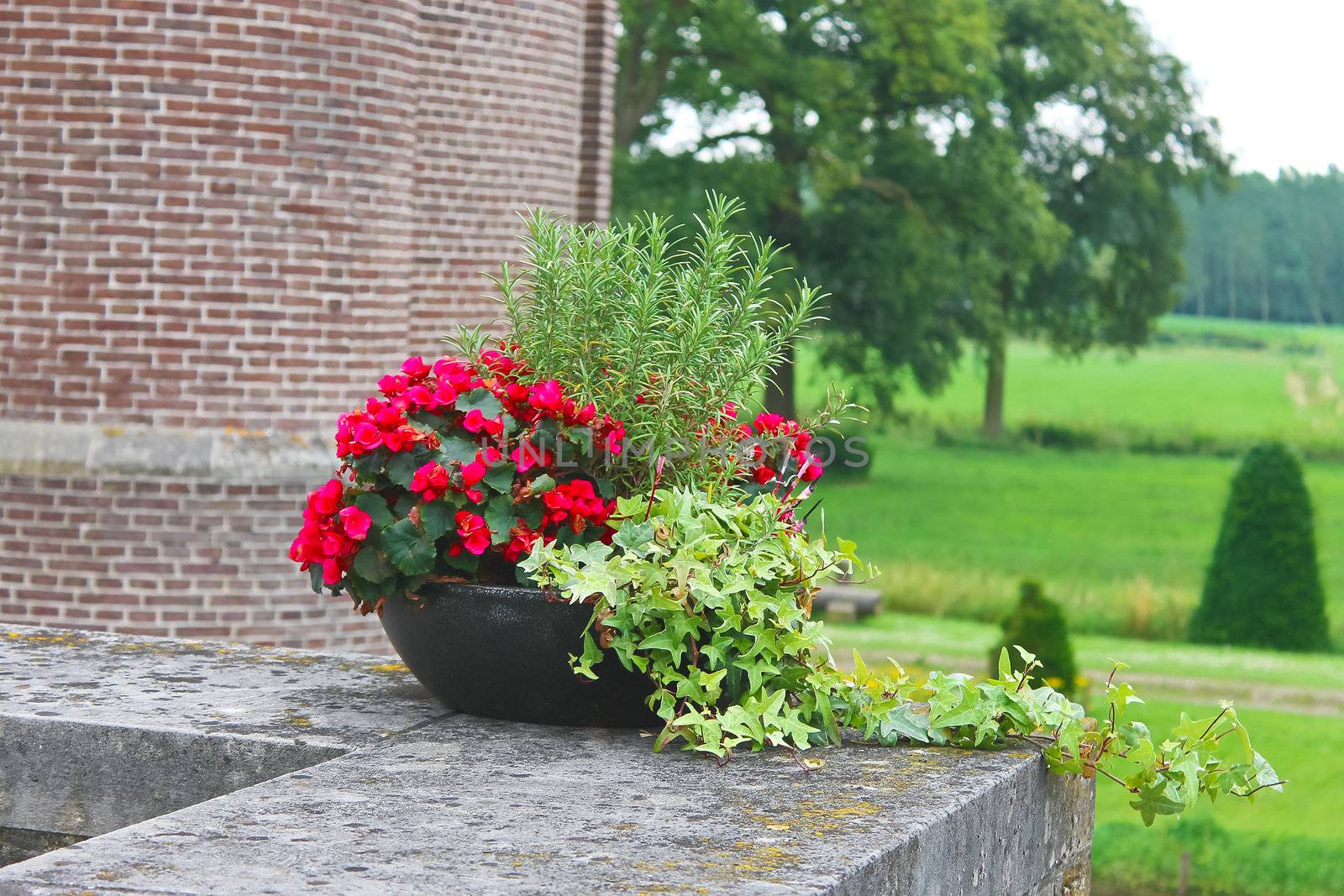 Flowers in the castle Heeswijk . Netherlands by NickNick