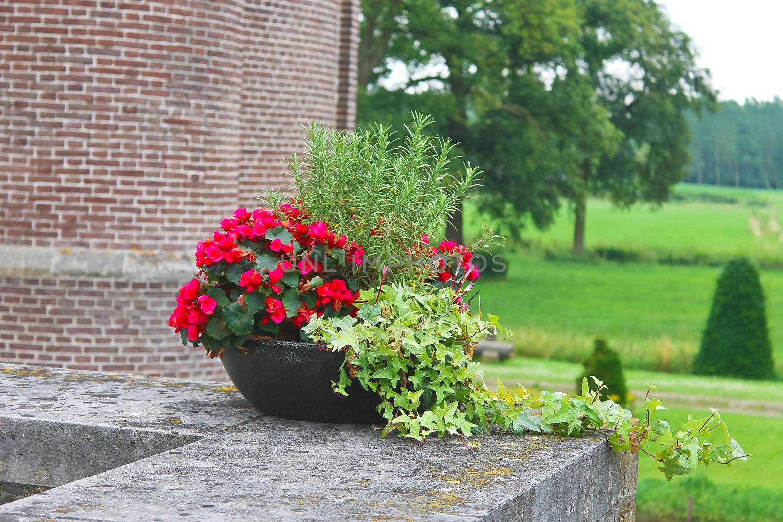 Flowers in the castle Heeswijk . Netherlands