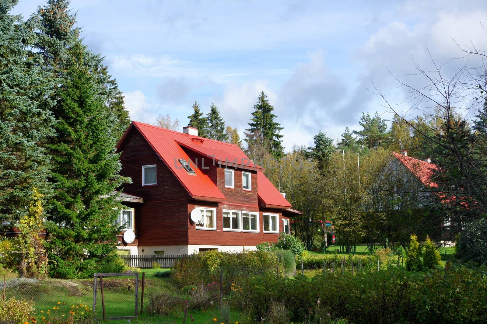 The wooden house on a background of trees