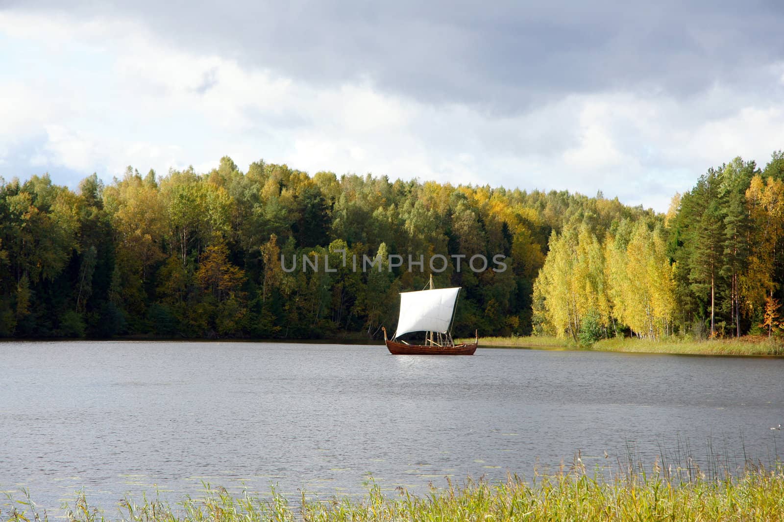 Sailing boat on a background of a forest 