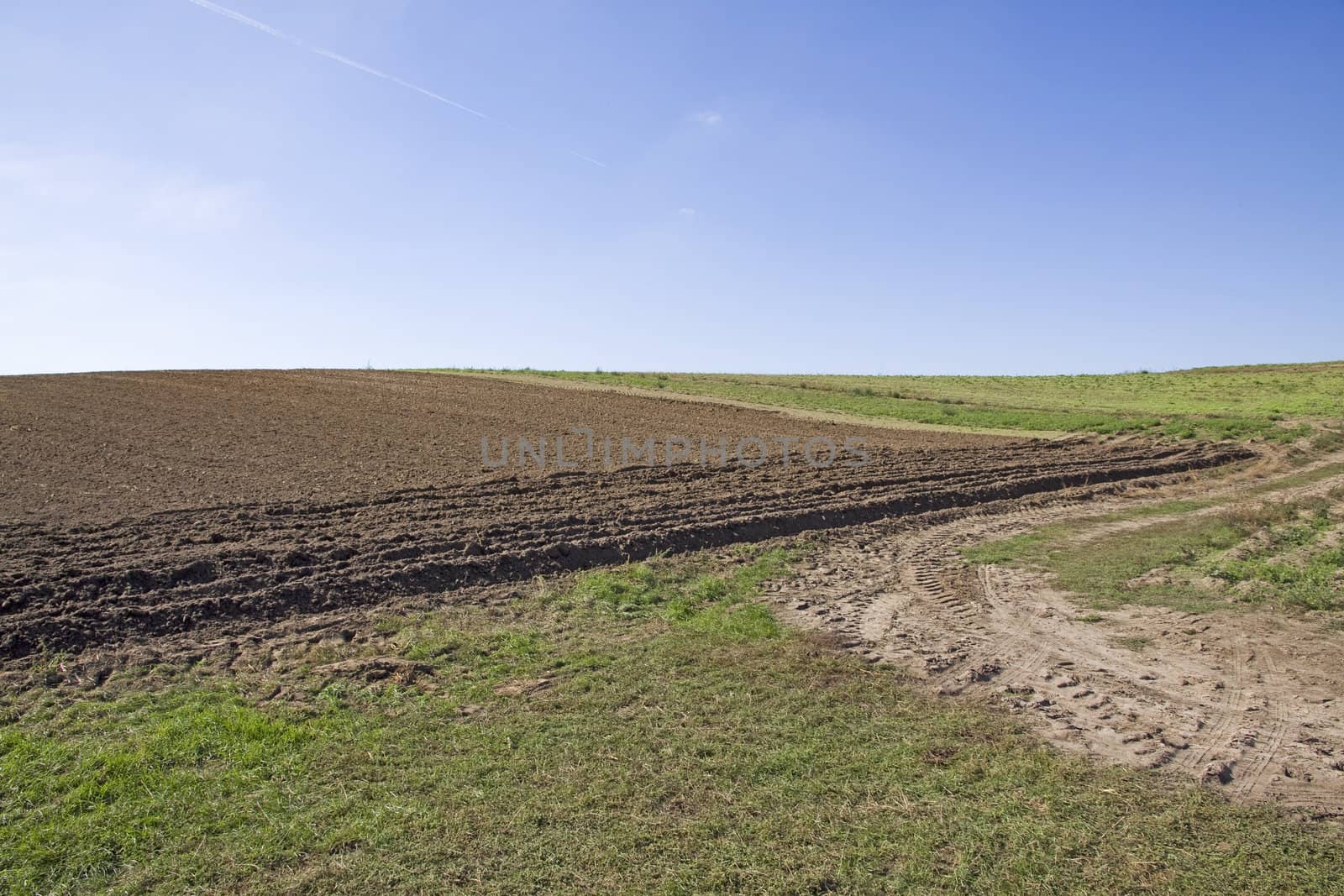 rural brown farm land field with blue and cloudless sky