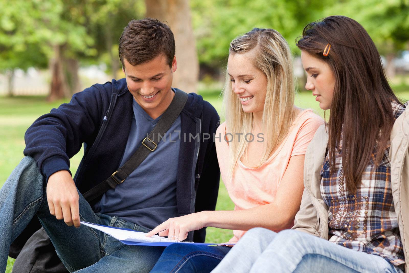 Close-up of students studying while sitting in a park