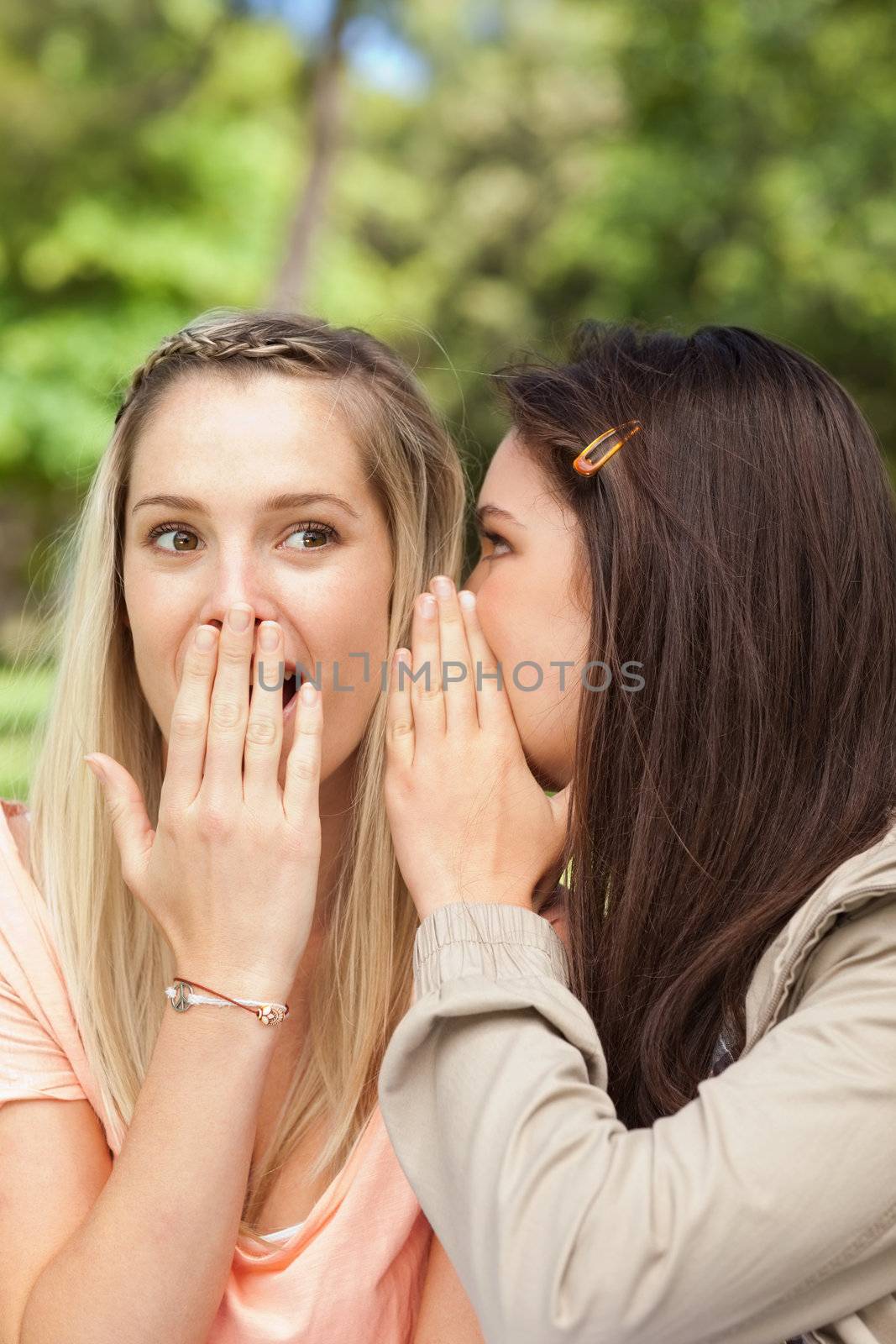 Close-up of female teenagers sharing a secret with hands in front of the mouth in a park