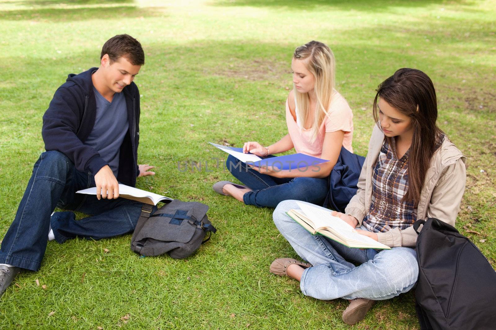 Three students studying together in a park