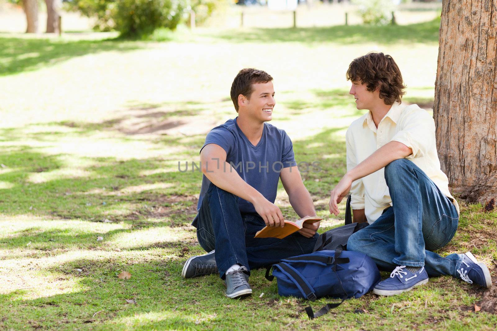 Portrait of two male students talking in a park