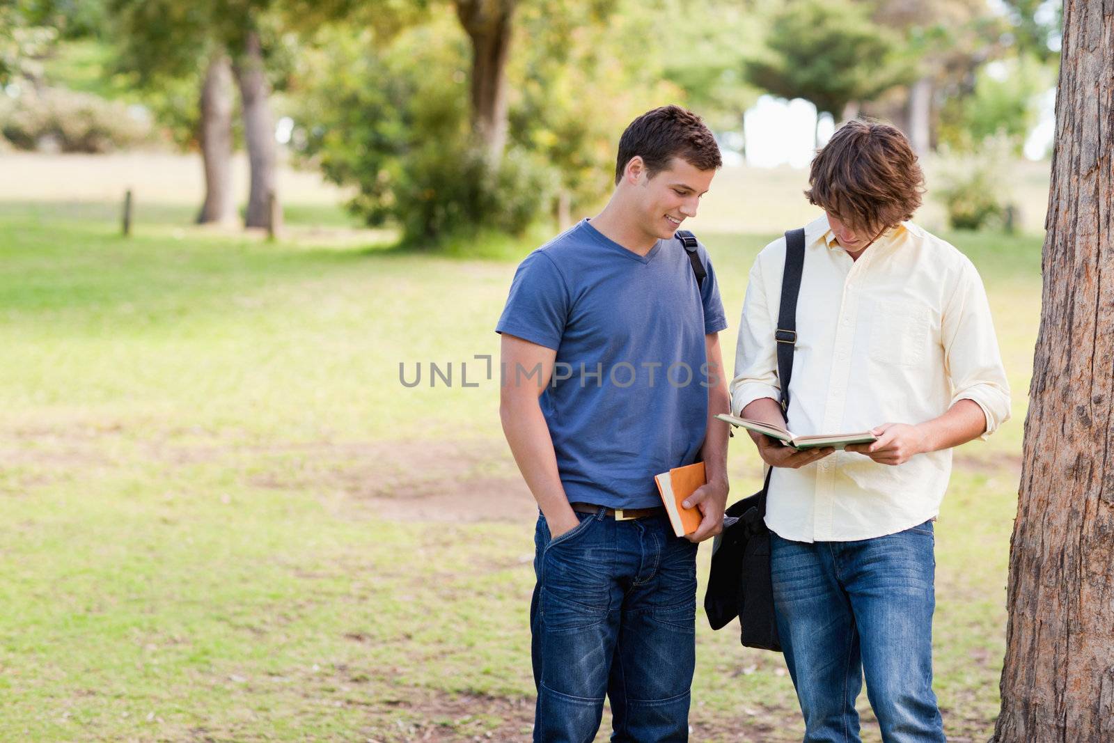 Two standing male students talking in a park