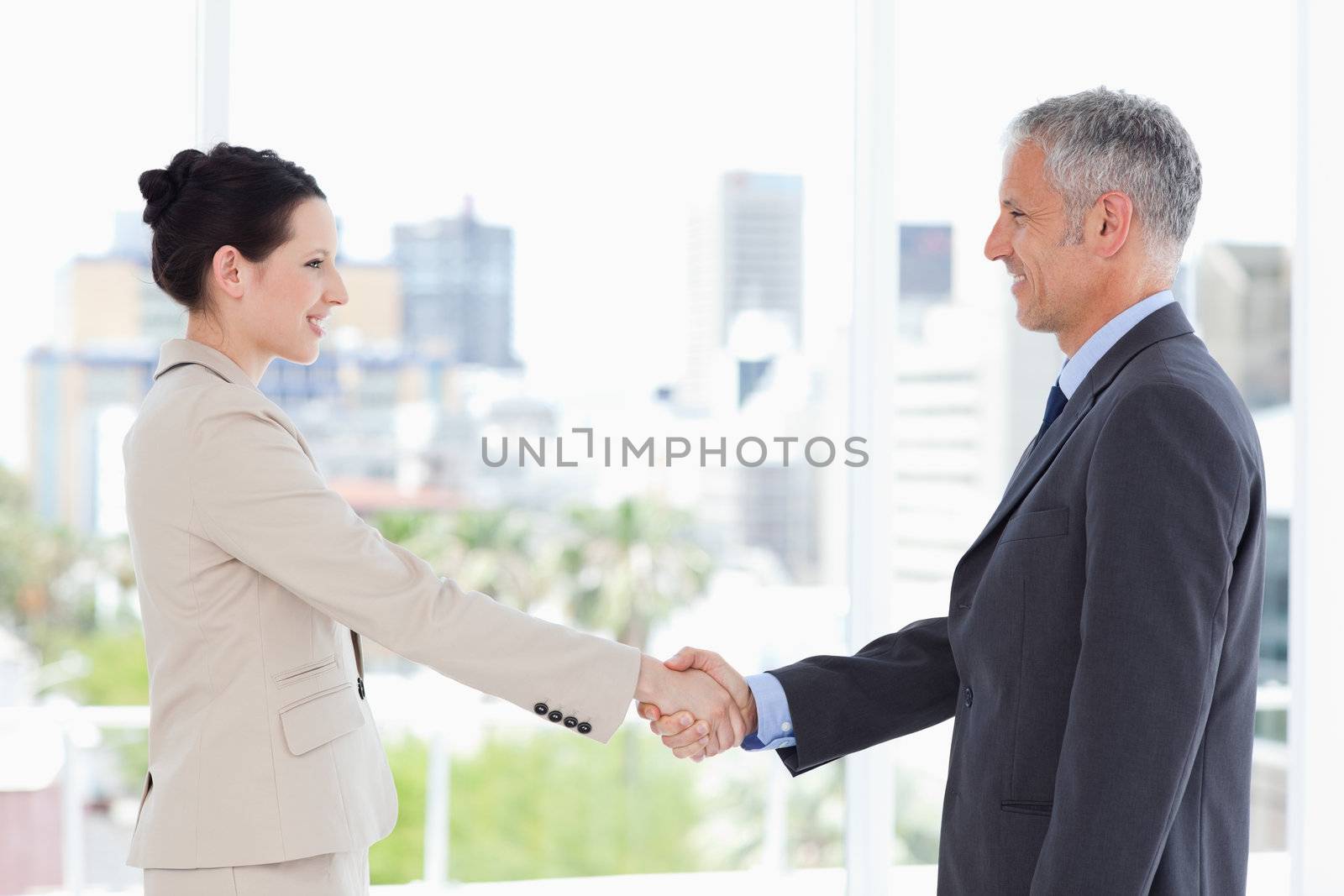 A director and his secretary shaking hands while smiling by Wavebreakmedia