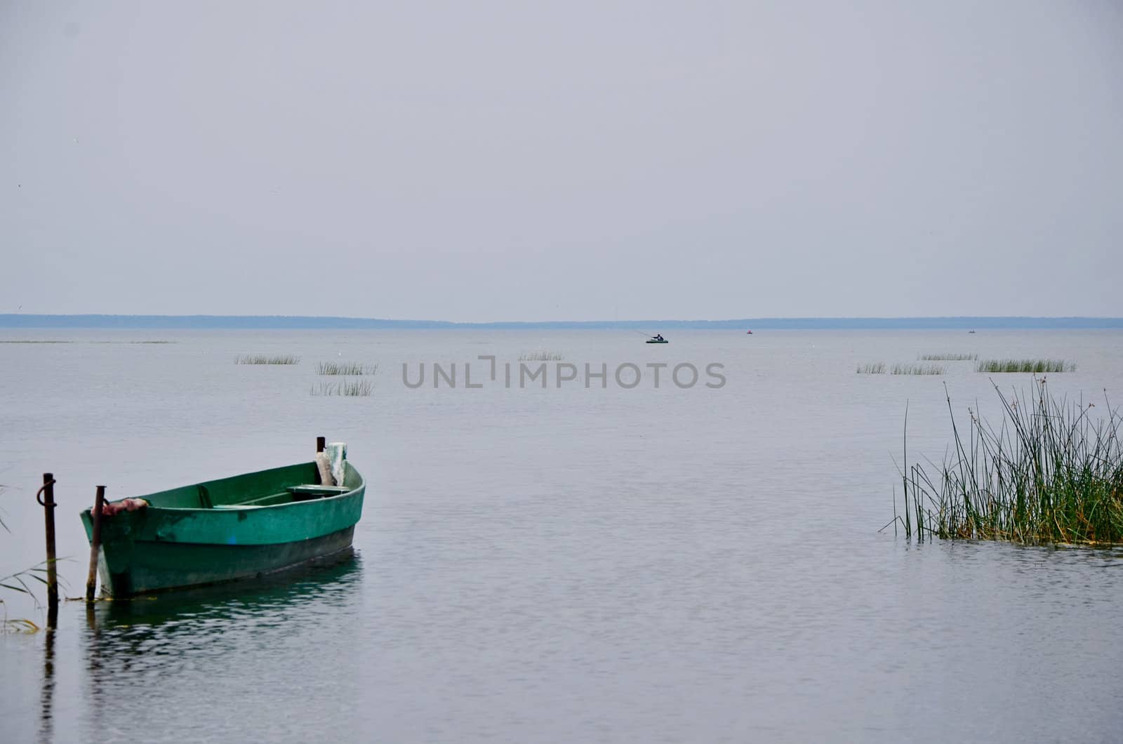 On lake coast Pleshcheeva by Netti