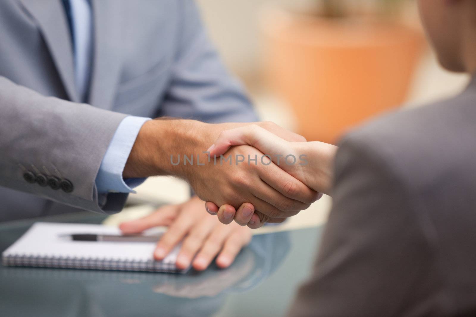 Two Businesspeople shaking hands by Wavebreakmedia