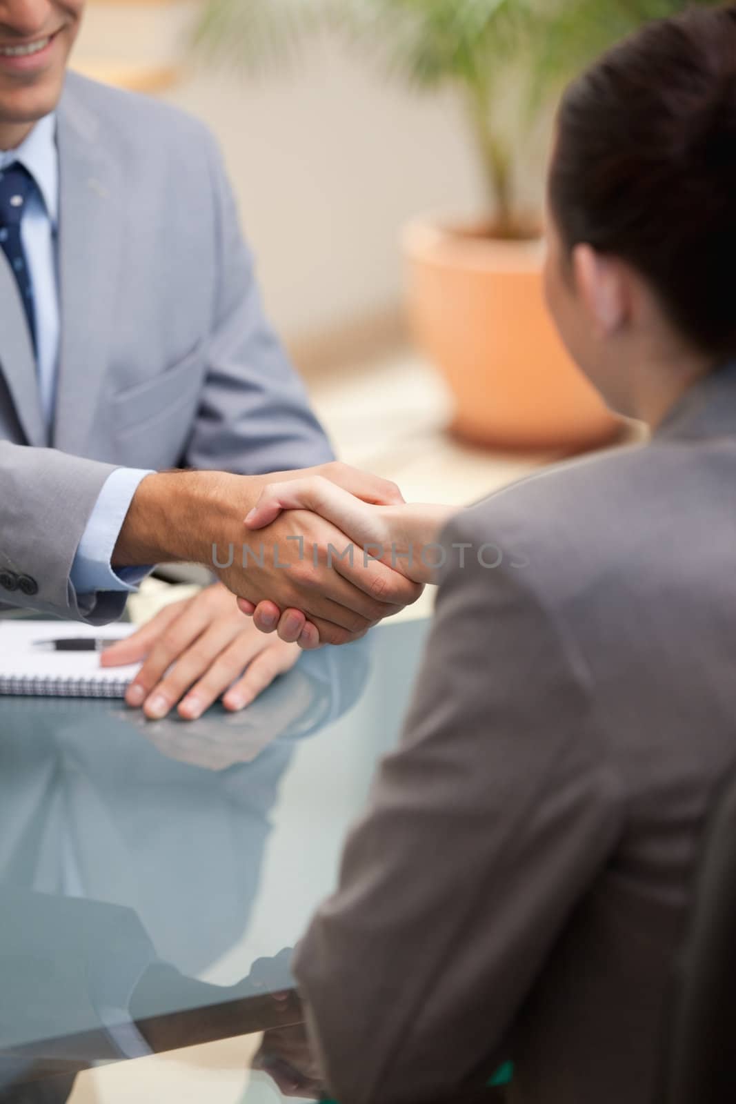 Businessman and Businesswoman shaking hands in an office