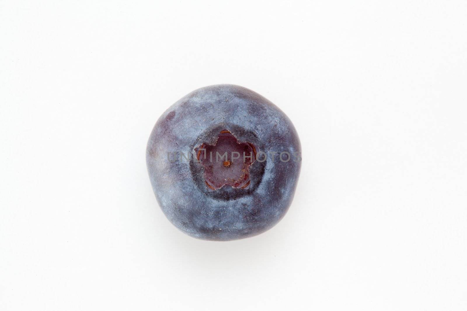 Blueberry against a white background