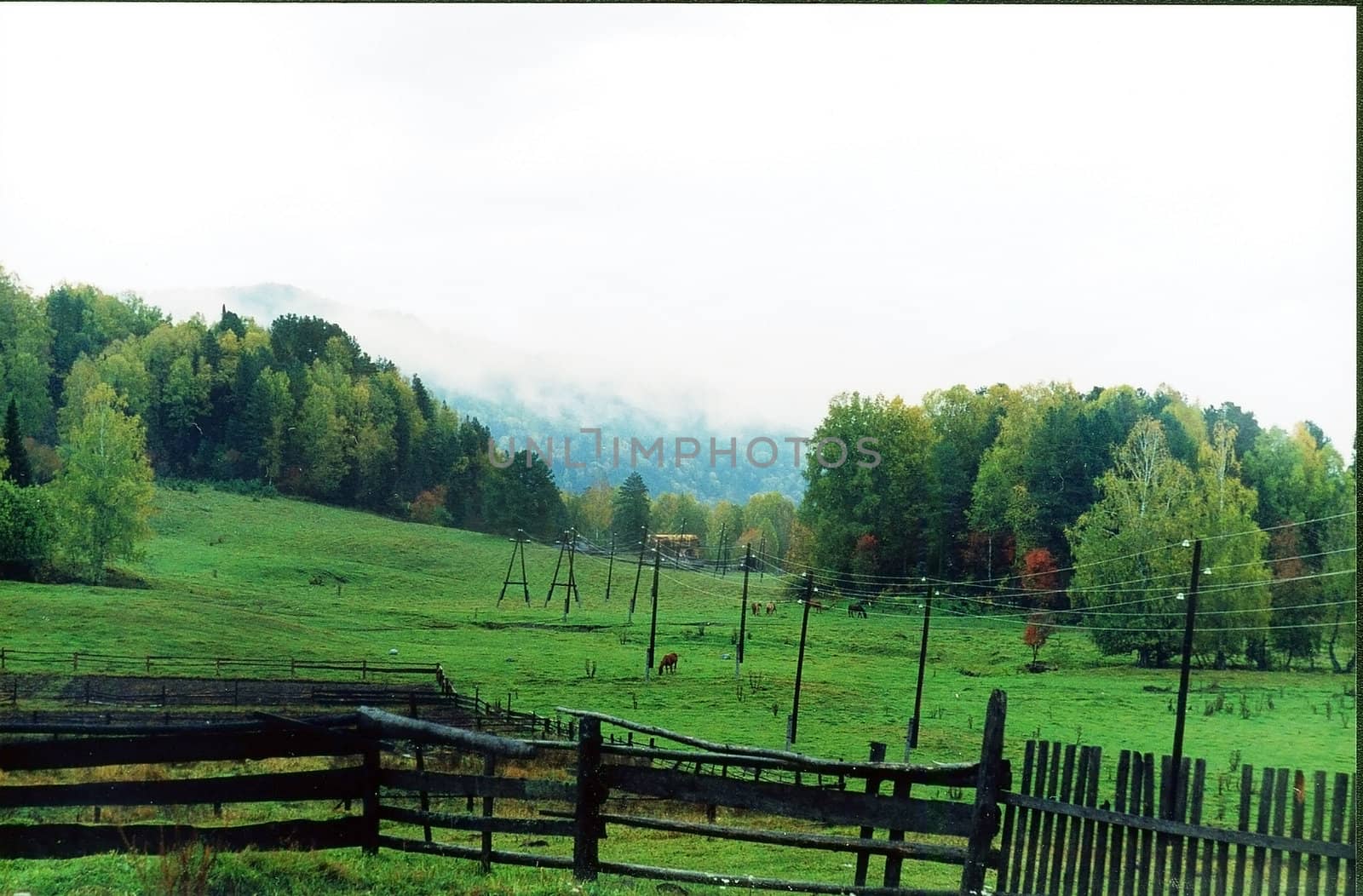 Foggy morning in settlement Artybash of the mountain-Altay area