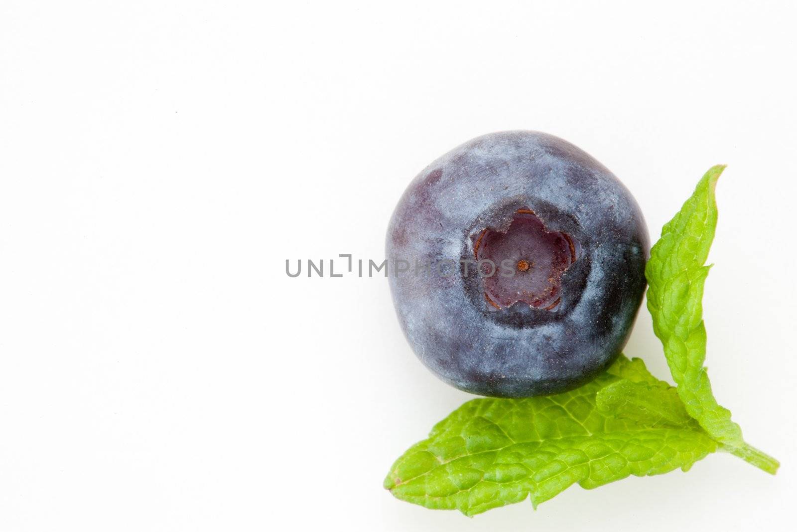 Blueberry against a white background