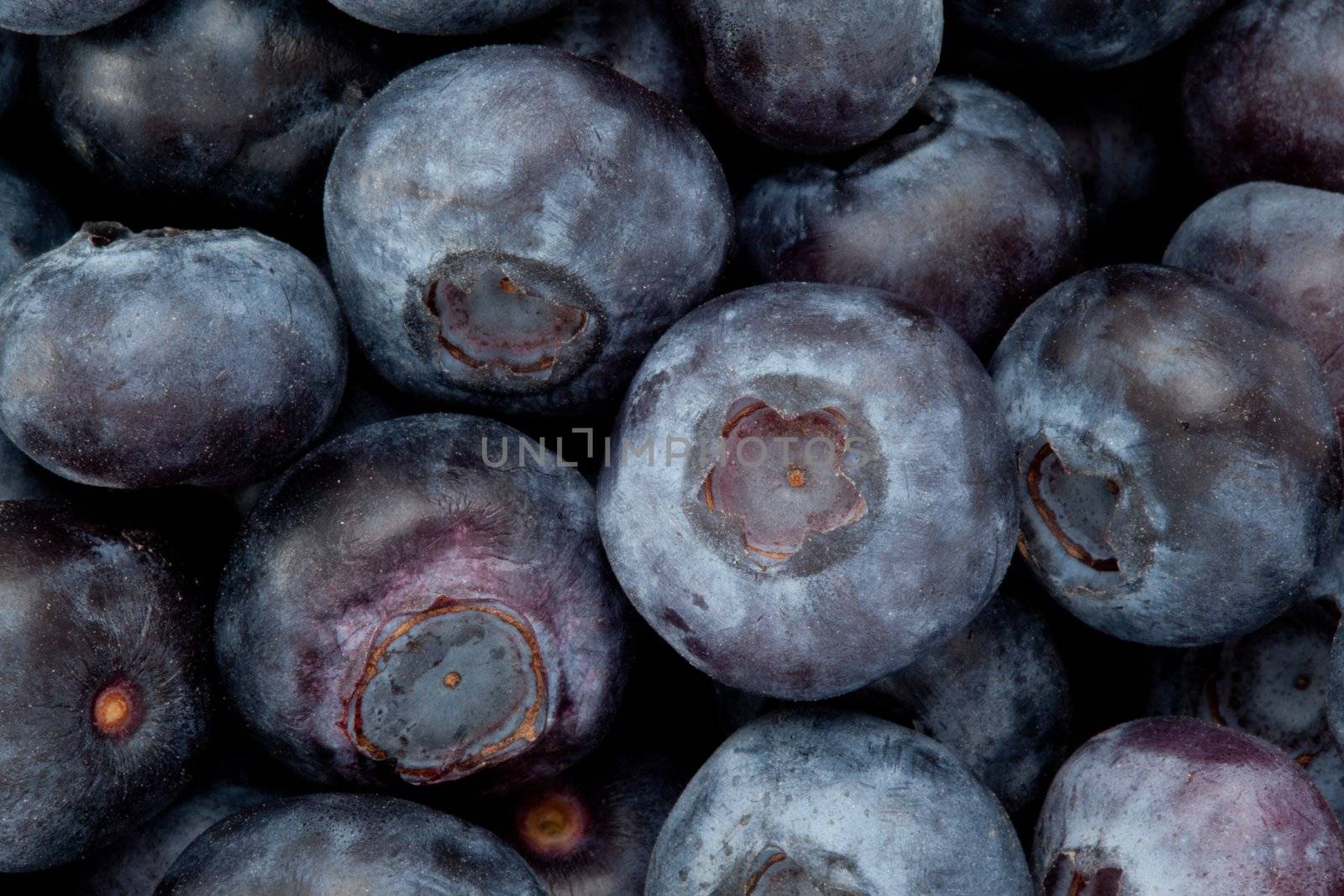 Heap of blueberry by Wavebreakmedia