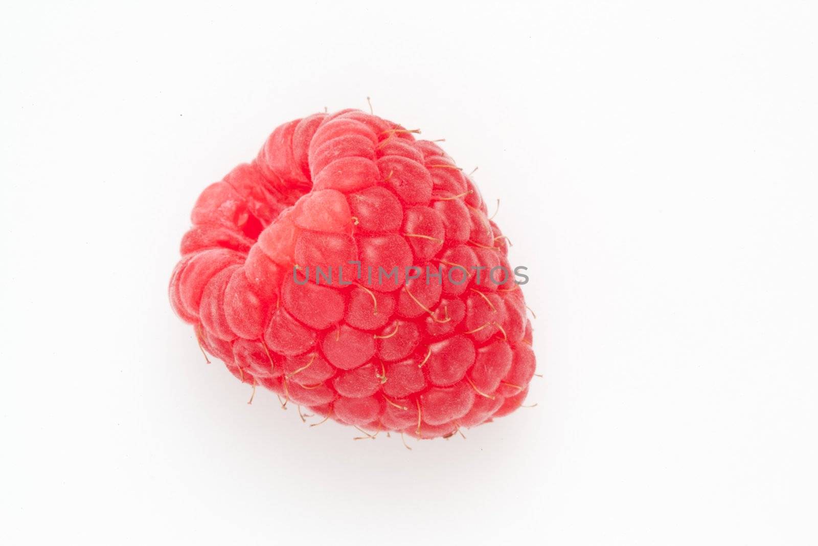 Raspberry against a white background