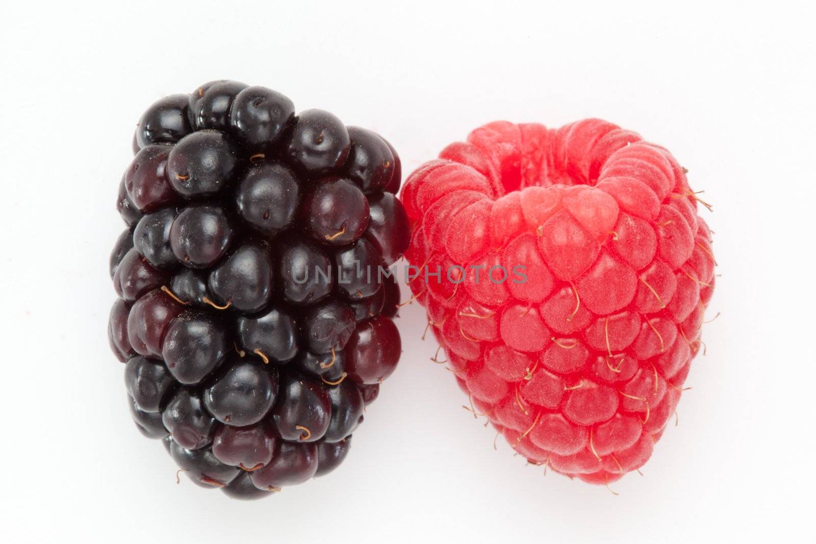 Blackberry and Raspberry against a white blackground