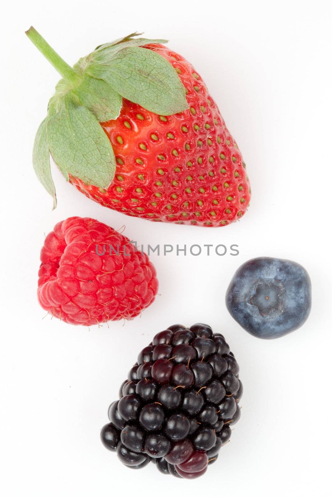 Berries  against a white blackground