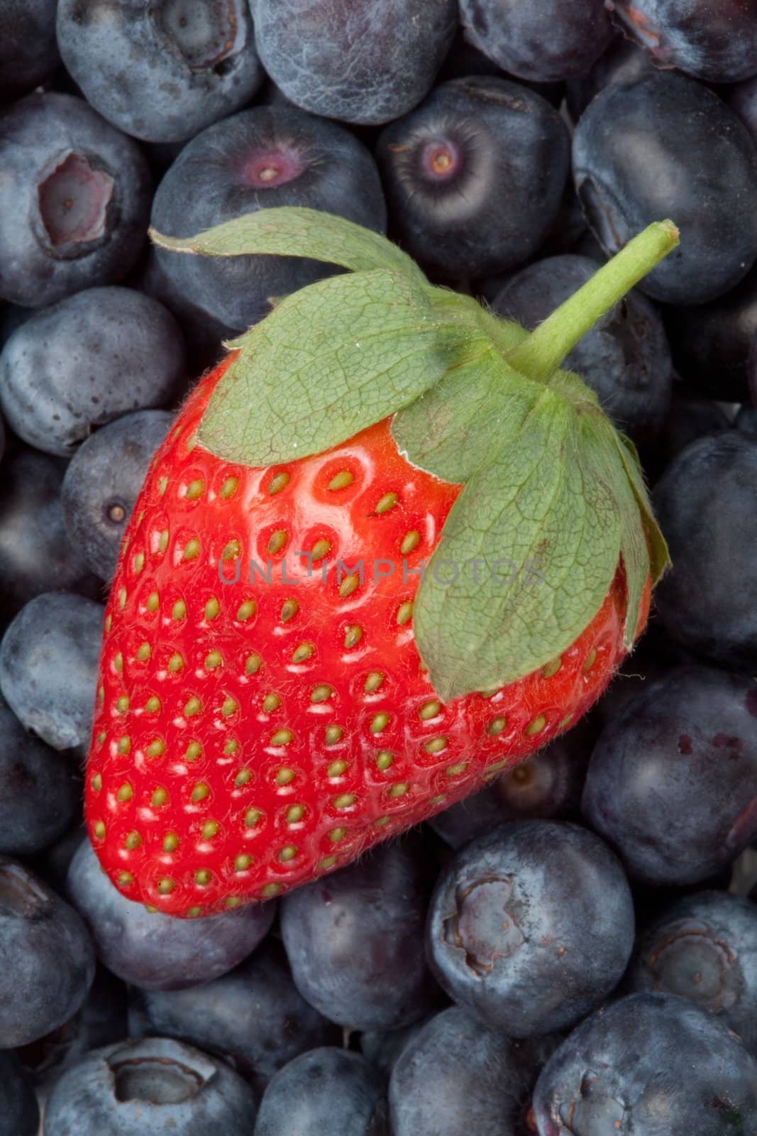 Strawberry in the middle of blueberries by Wavebreakmedia