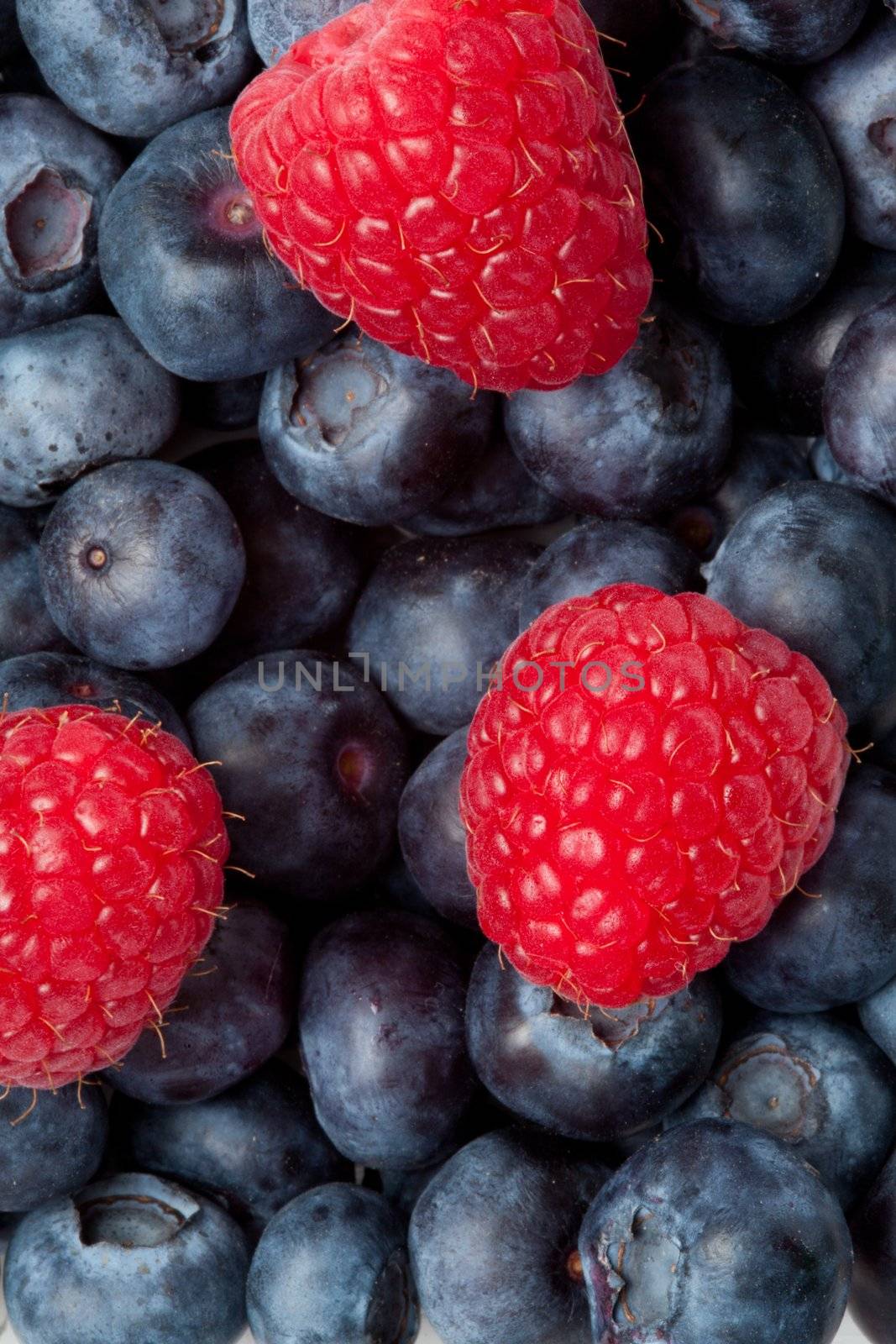 Raspberry on the blueblerries by Wavebreakmedia