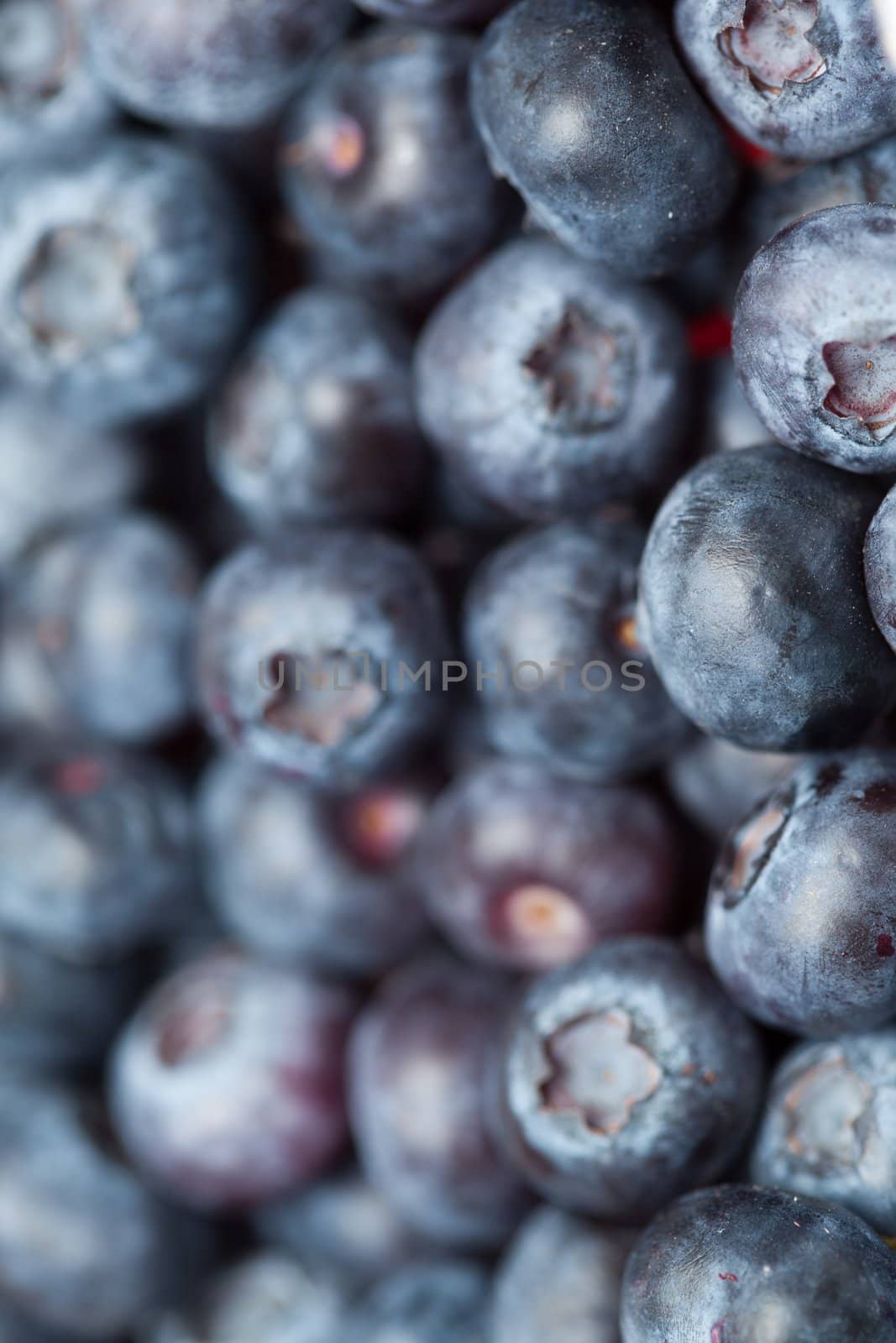 Heap of blueberries by Wavebreakmedia