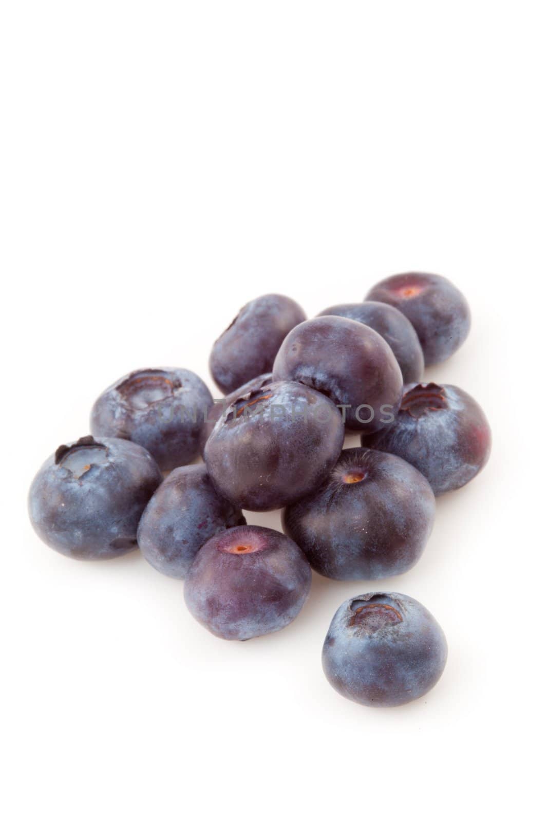 Blueberries by Wavebreakmedia