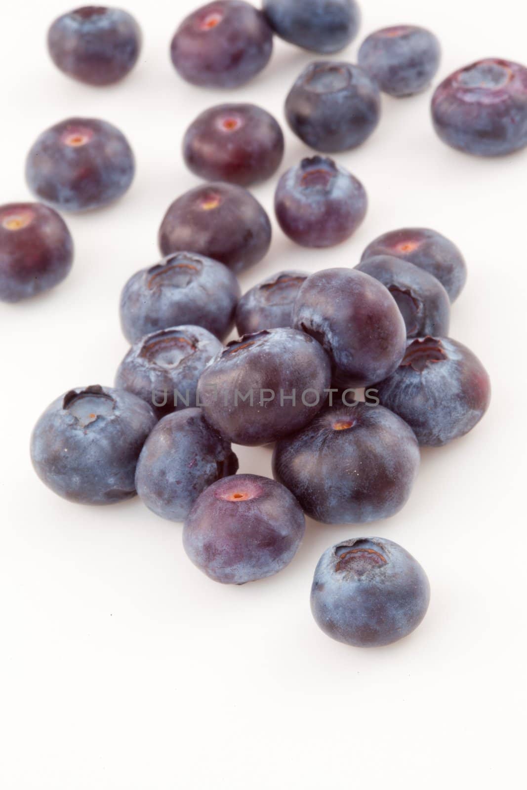 Blueberries against a white background