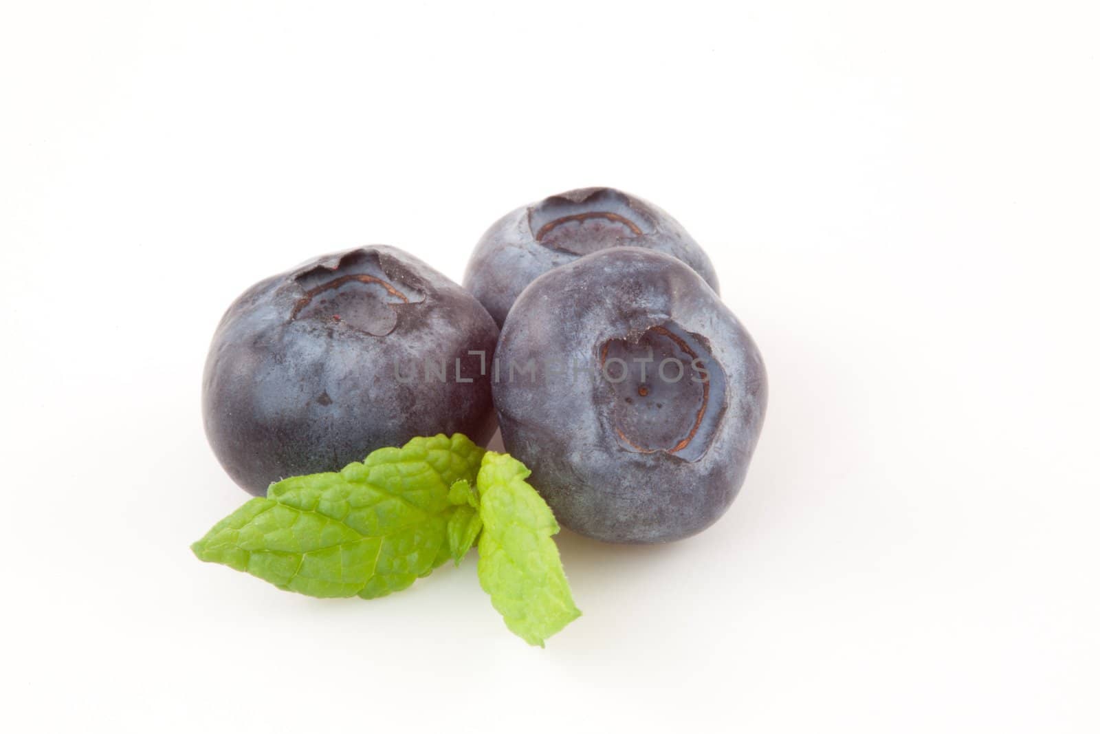 Three blueberries against a white background