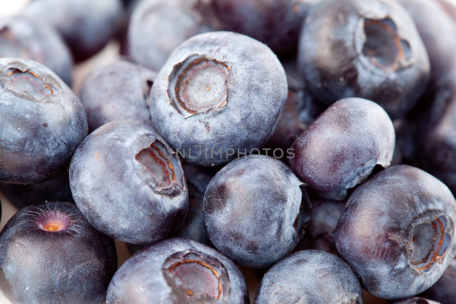 Fresh blueberries with a high angle view