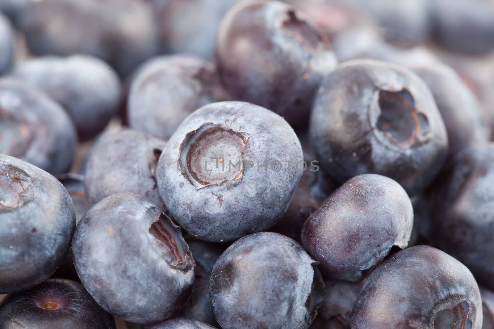 Close-up of blueberries by Wavebreakmedia