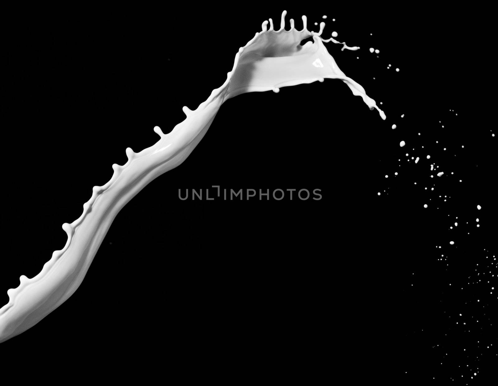 Milk splash isolated against a black background
