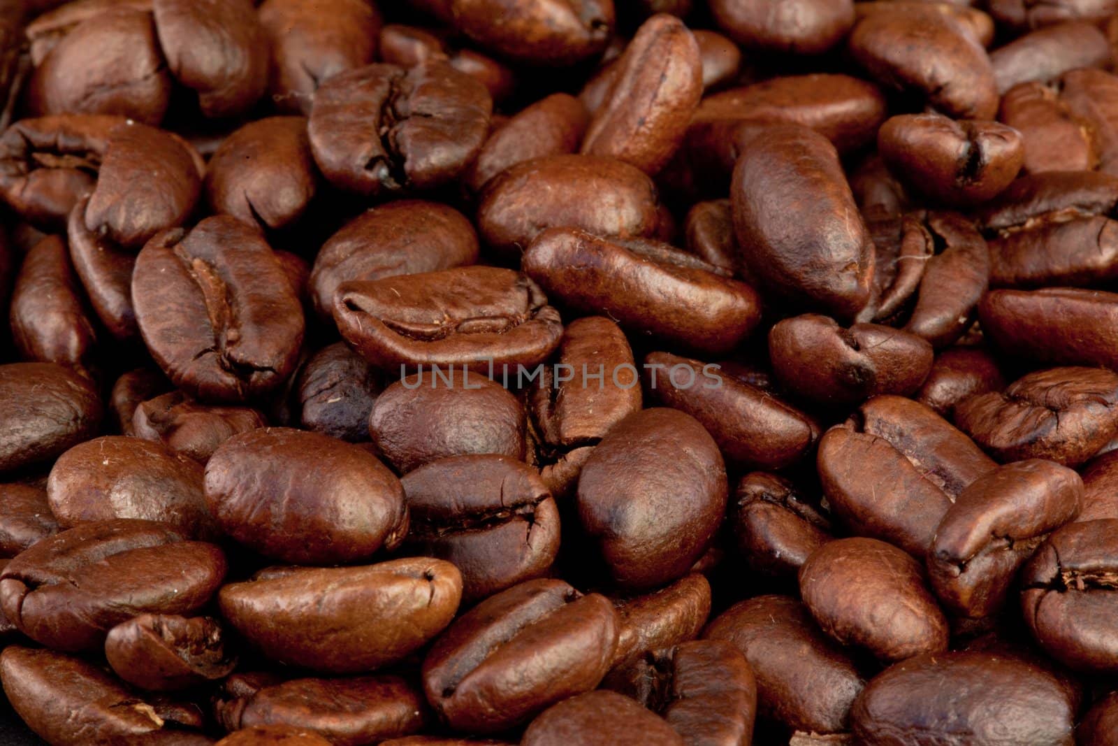 Close up of coffee seeds laid out together