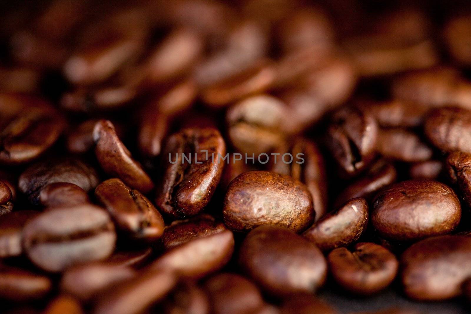 Close up of blurred coffee seeds laid out together