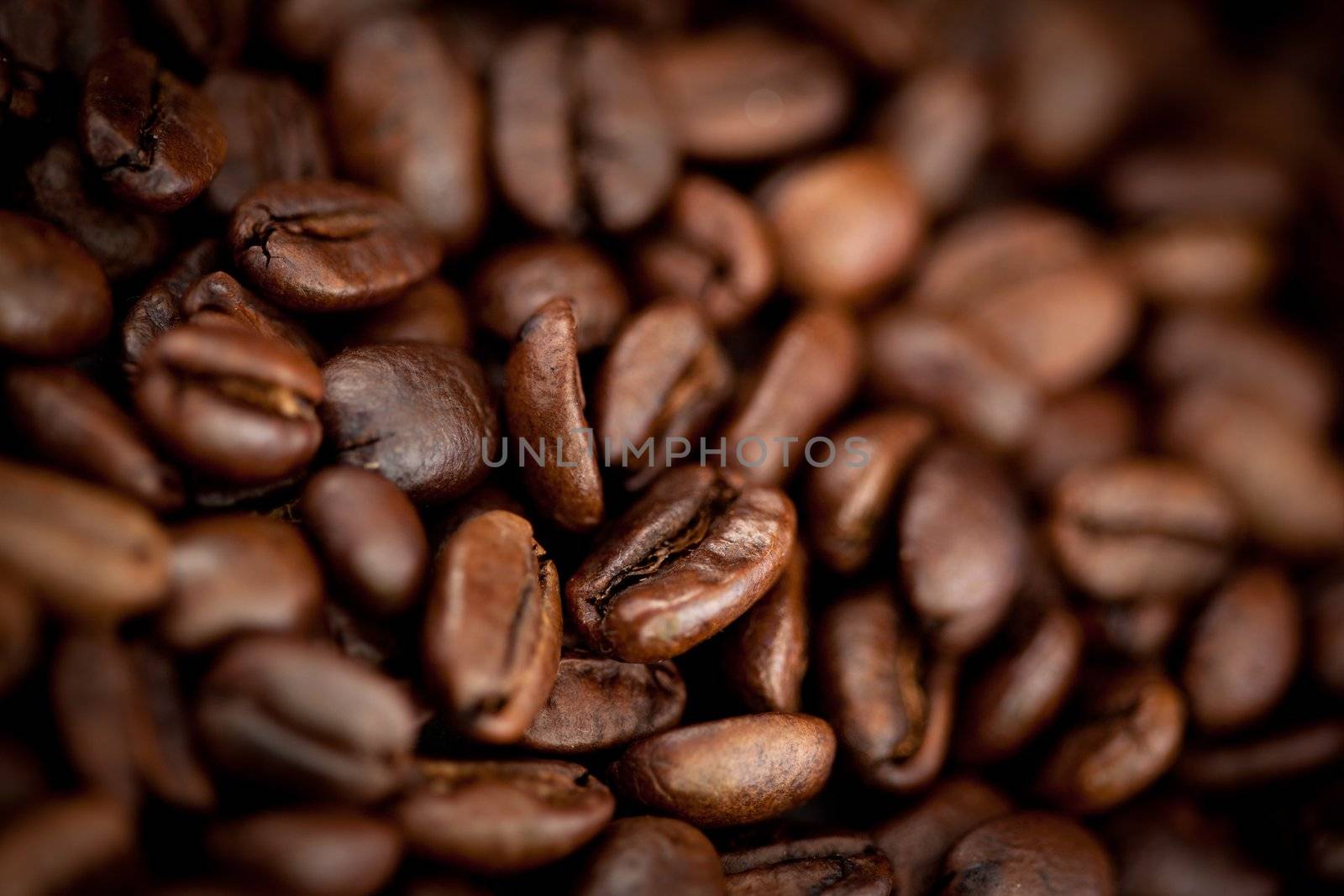 Close up of dark blurred coffee seeds laid out together